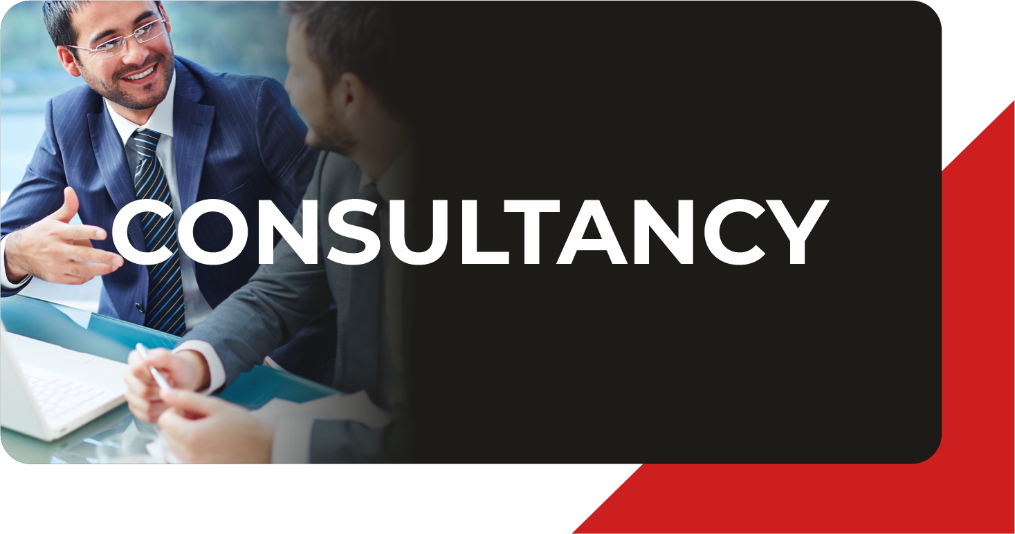 Consultancy Meeting